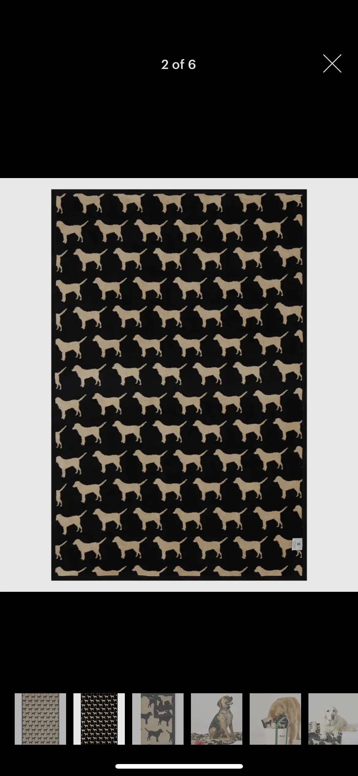 Chappy Wrap MIDI Blanket Collection