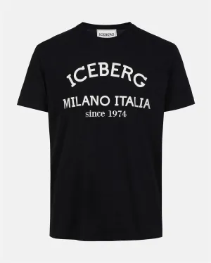 ICEBERG 4036