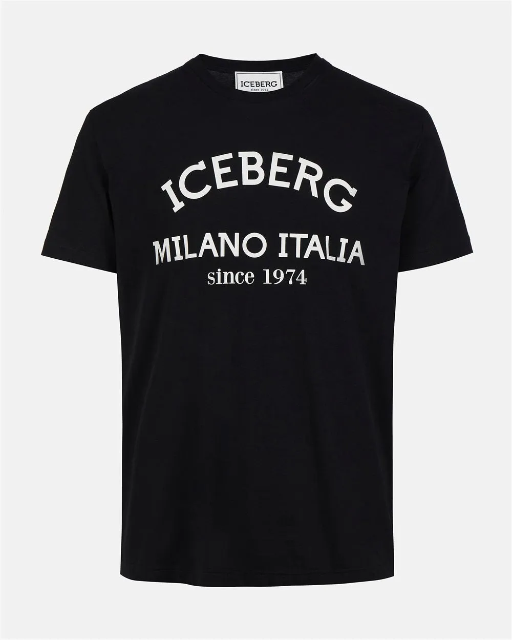 ICEBERG 4036