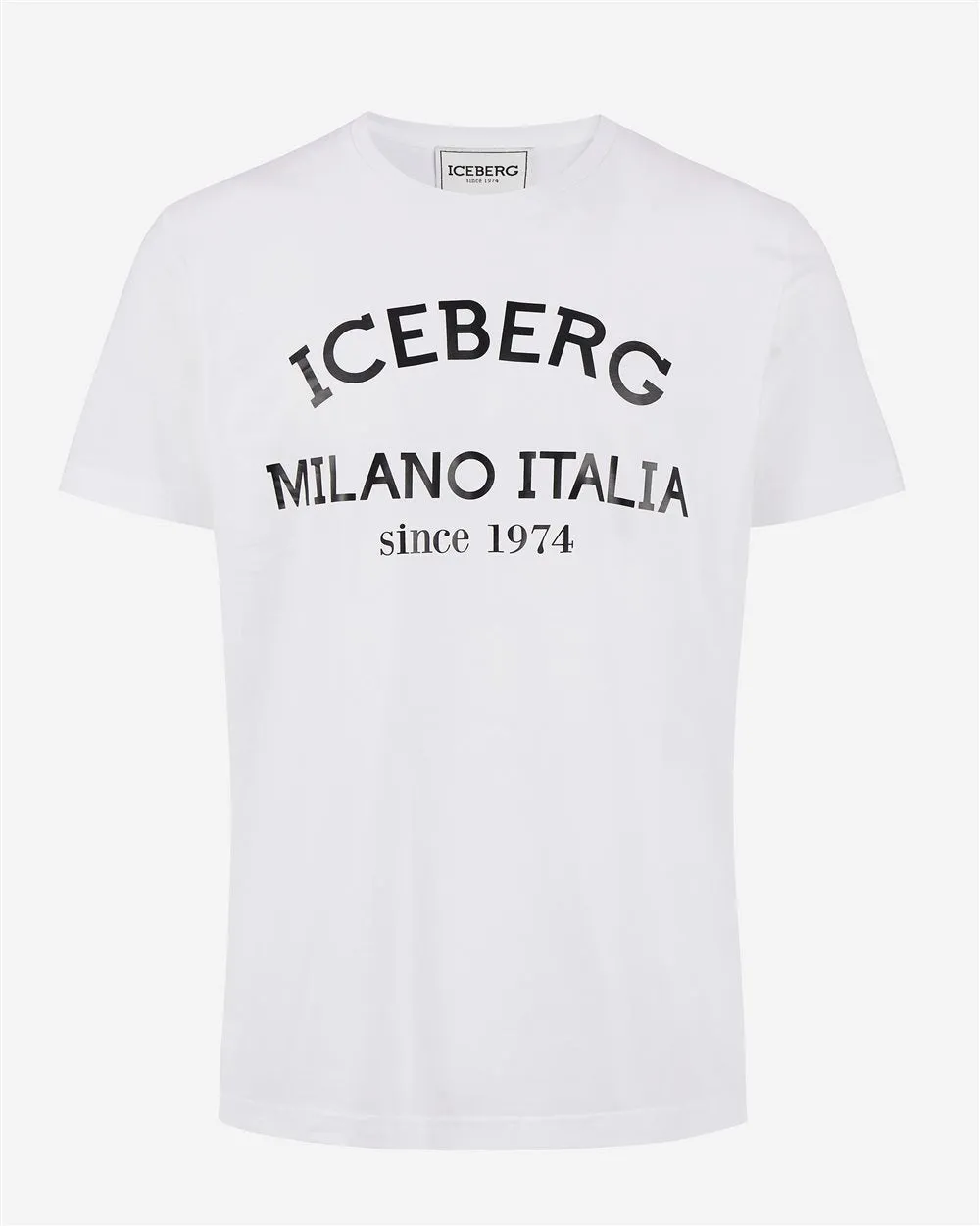 ICEBERG 4036